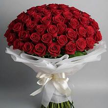 Букет 101 Красная роза Блэк Мэджик в Степанщино
