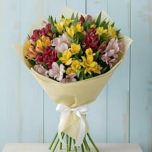 Букет цветов из:  Альстромерии #REPLACE_PRED# Степанщино