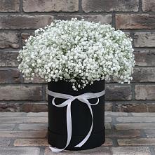 Цветочная композиция из Гипсофила в шляпной коробке #REPLACE_PRED# Степанщино